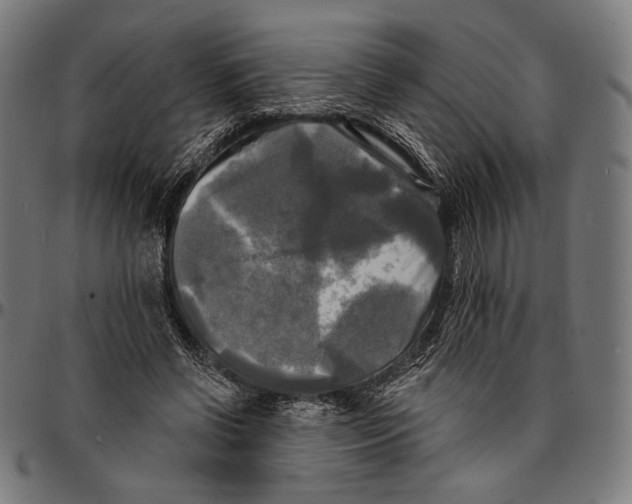 X0000095110542200801041202