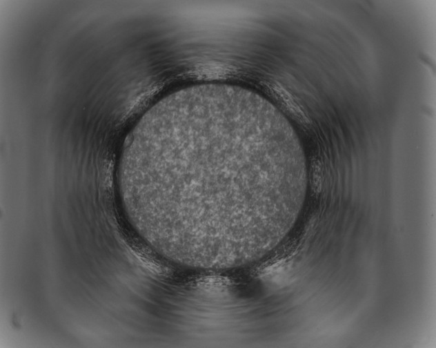 X0000095110543200801041202