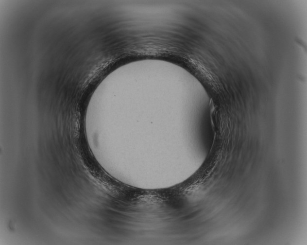 X0000095110544200801041202