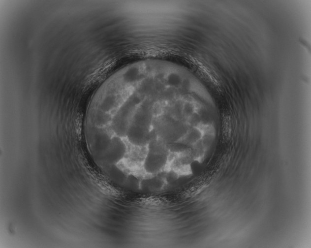 X0000095110545200801041202