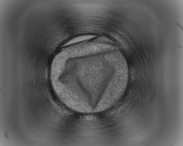 X0000095110546200801041202