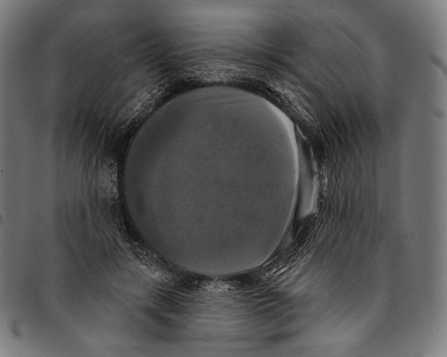 X0000095110547200801041202
