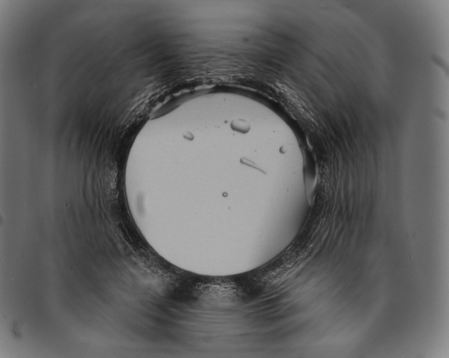 X0000095110548200801041202