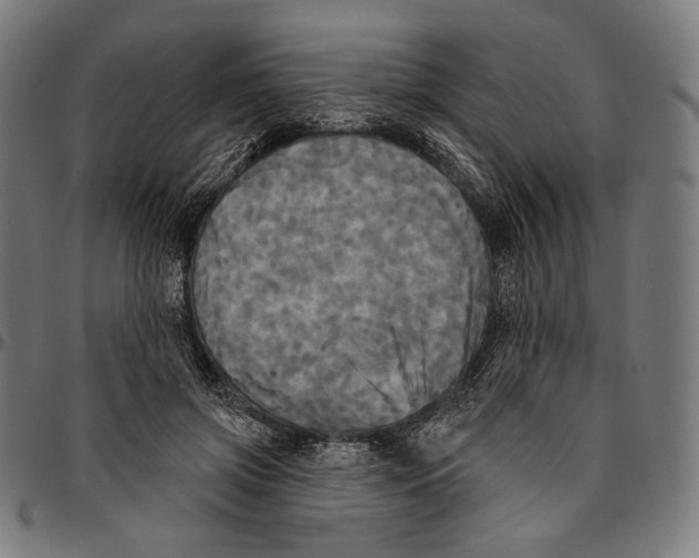 X0000095110549200801041202