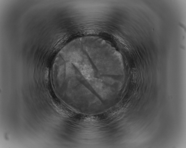 X0000095110550200801041202