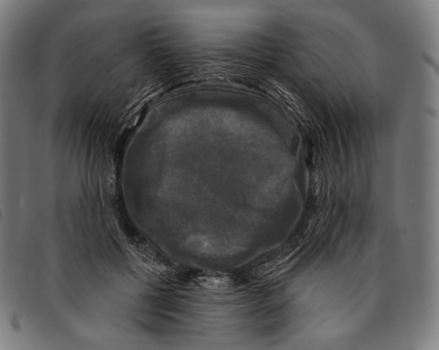 X0000095110552200801041203