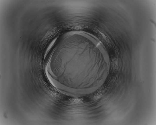 X0000095110553200801041203