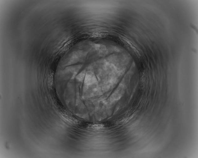 X0000095110554200801041203