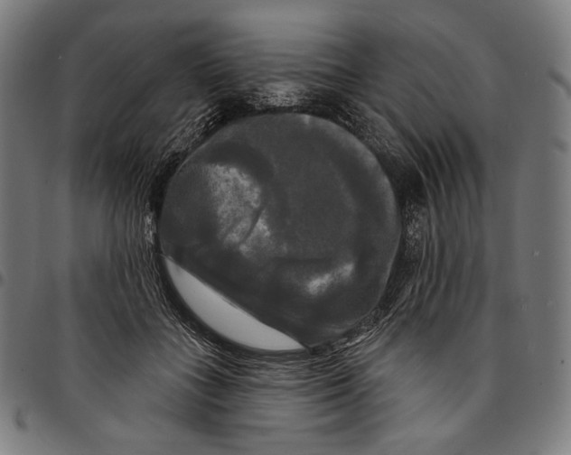 X0000095110555200801041203