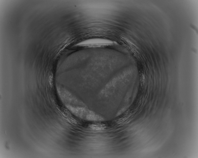 X0000095110556200801041203