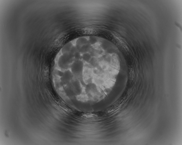 X0000095110557200801041203