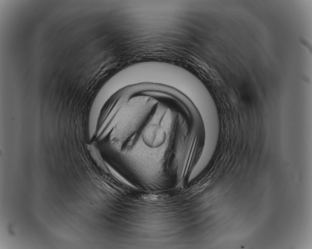 X0000095110558200801041203