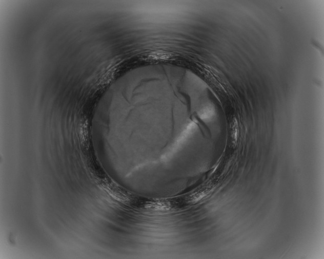 X0000095110559200801041203