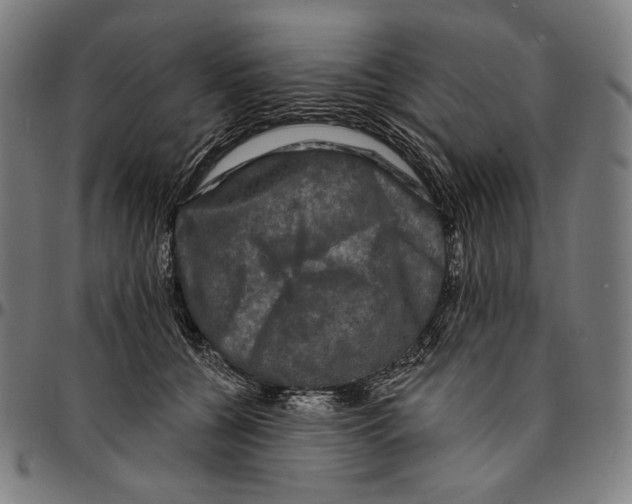 X0000095110560200801041203