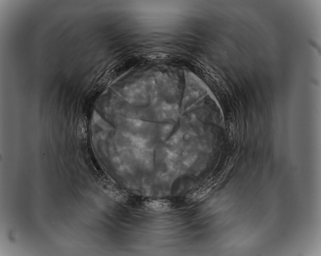 X0000095110561200801041203
