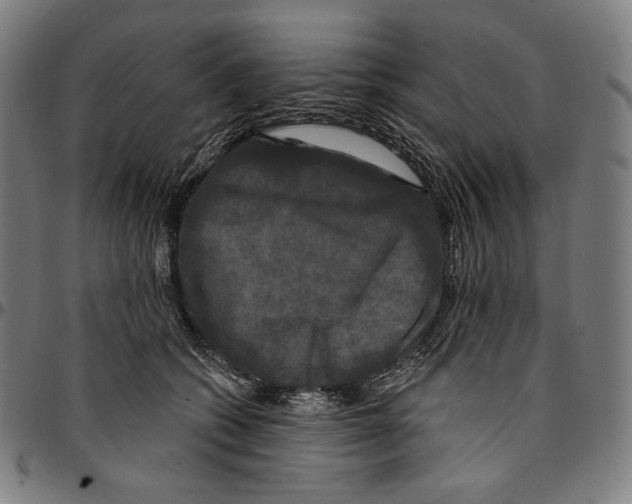 X0000095110562200801041203