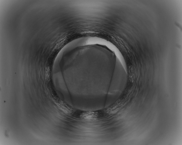X0000095110563200801041203