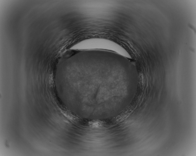 X0000095110564200801041203