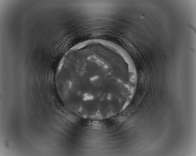 X0000095110565200801041203