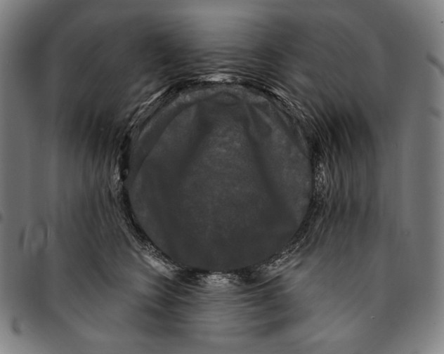 X0000095110566200801041203