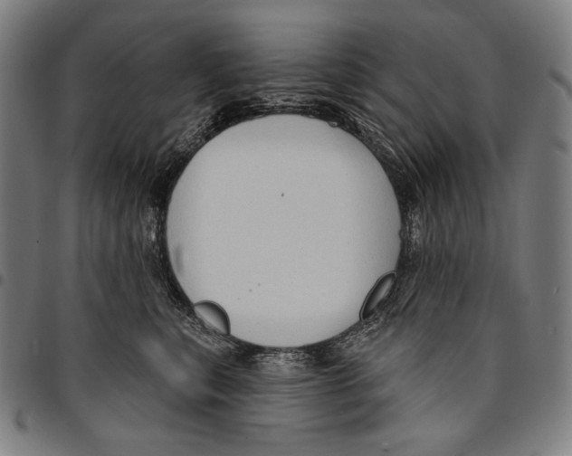 X0000095110567200801041203