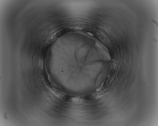 X0000095110568200801041203