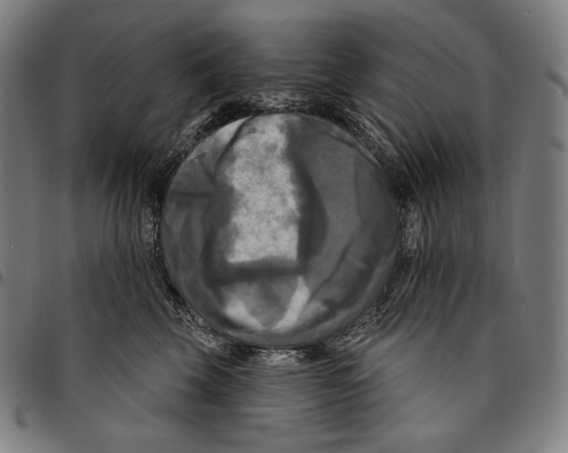 X0000095110569200801041203