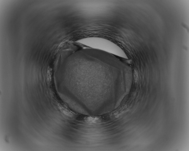 X0000095110570200801041203