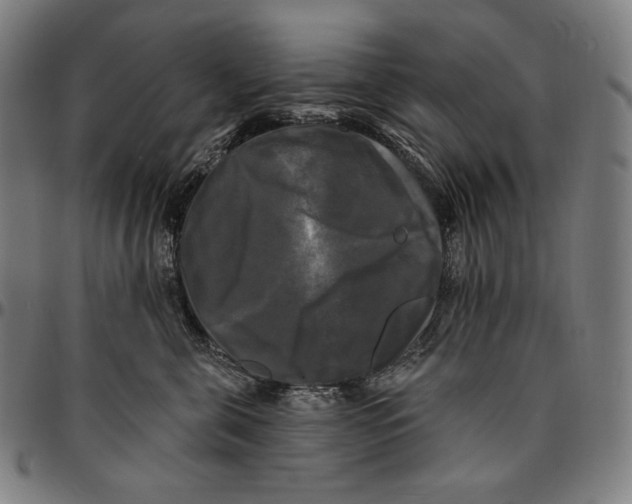 X0000095110571200801041203