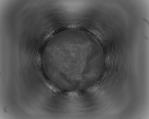 X0000095110572200801041203