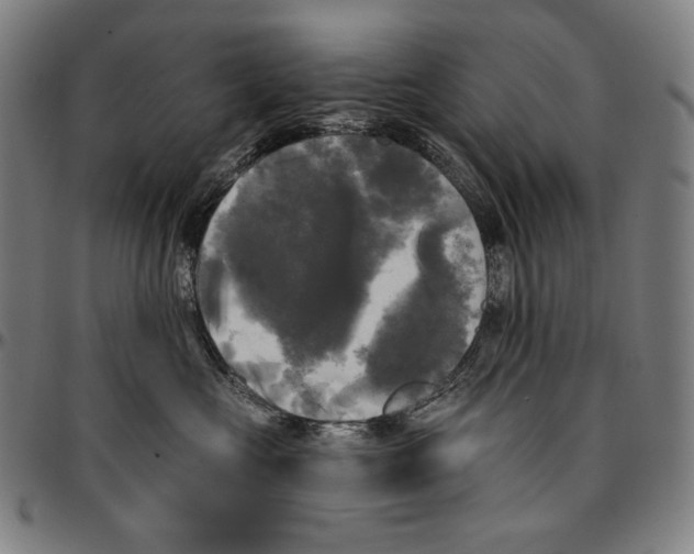 X0000095110573200801041203