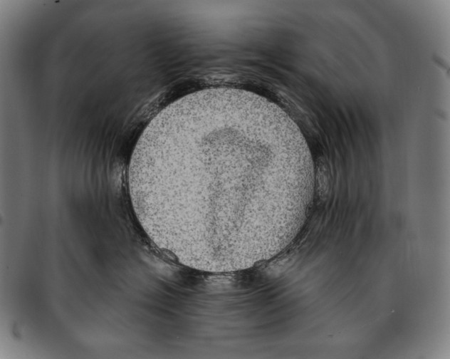 X0000095110574200801041203