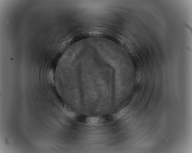 X0000095110575200801041203