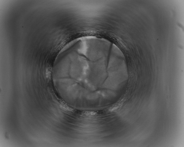 X0000095110576200801041203