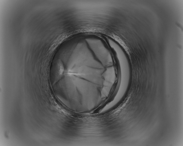 X0000095110577200801041202