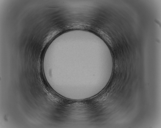 X0000095110578200801041202