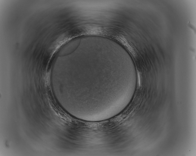 X0000095110579200801041202