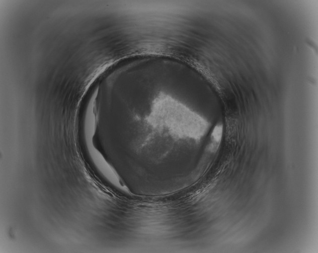 X0000095110580200801041202