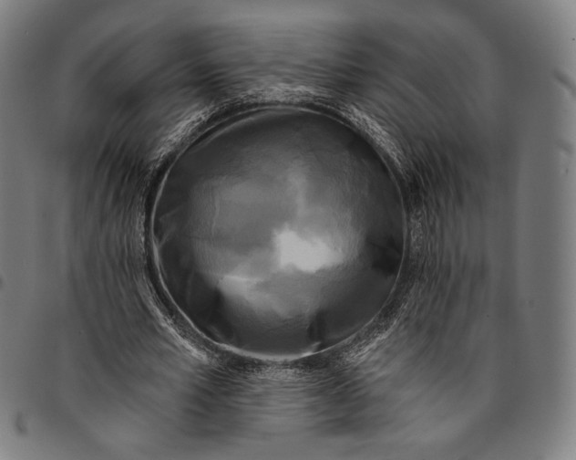 X0000095110581200801041202