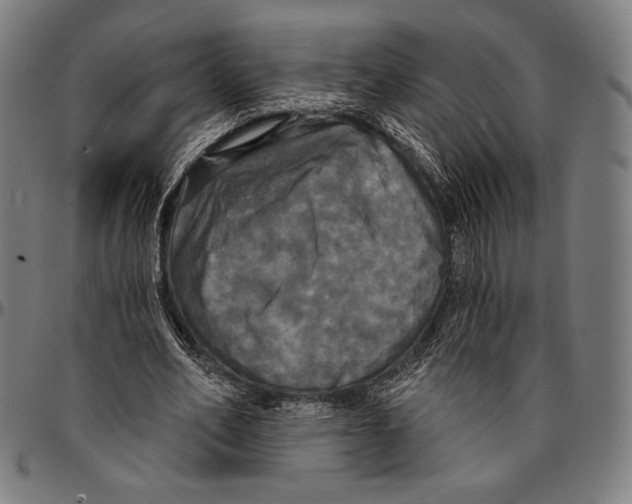 X0000095110582200801041202