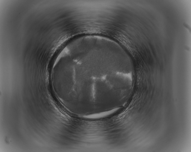 X0000095110584200801041202