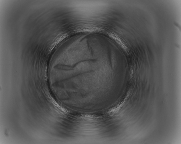 X0000095110585200801041202