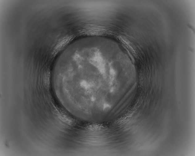 X0000095110586200801041202