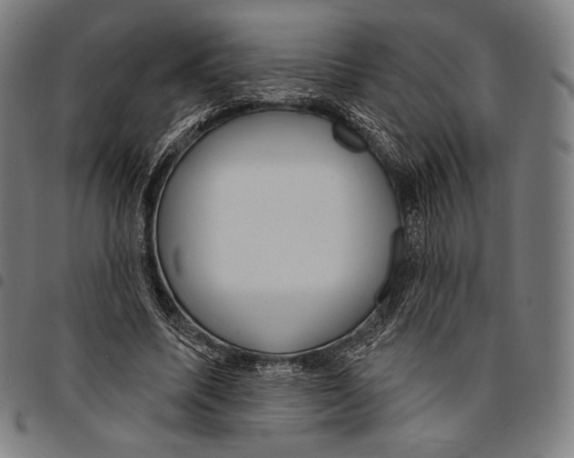 X0000095110587200801041202