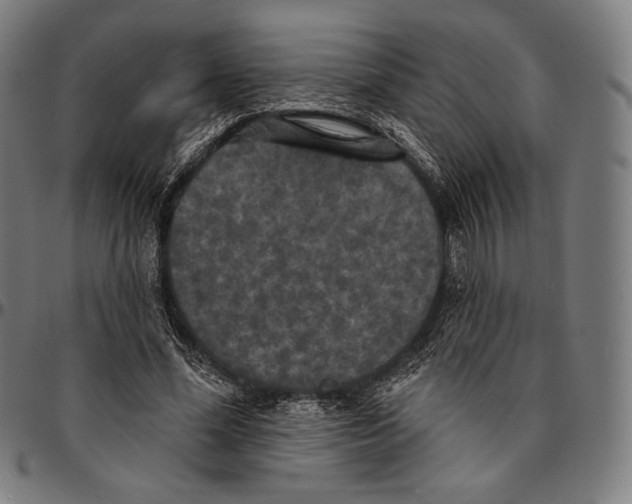 X0000095110588200801041202