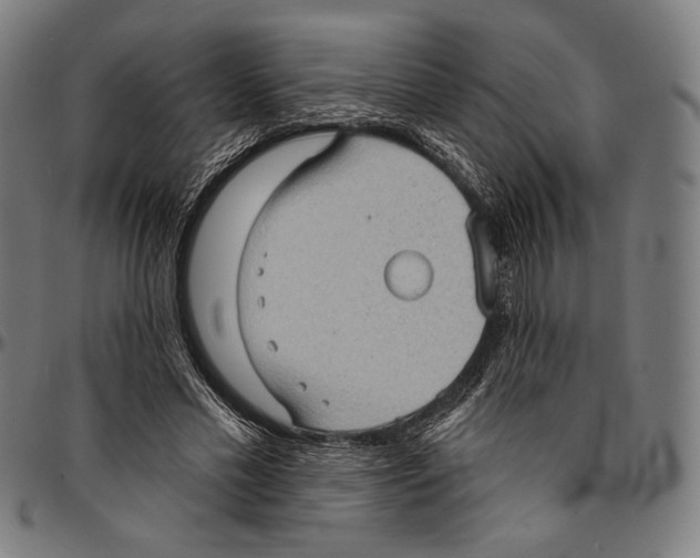 X0000095110589200801041202