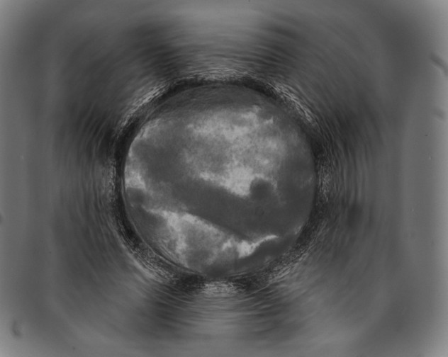 X0000095110591200801041202