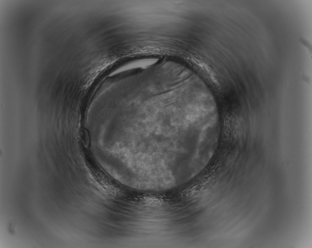 X0000095110592200801041202