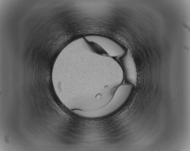 X0000095110593200801041202