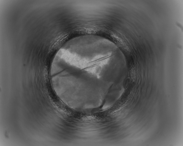 X0000095110594200801041202
